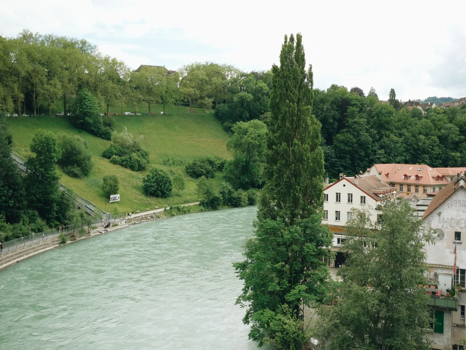 Scenic view of the Aare River with lush greenery in Bern, Switzerland.
