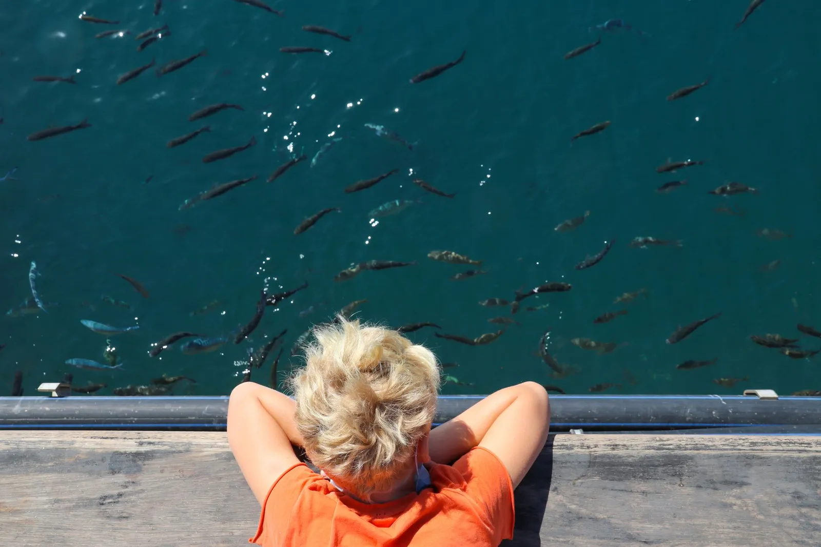 A young blonde child leans over a pier, watching fish swim in clear blue waters in San Sebastián, Spain.