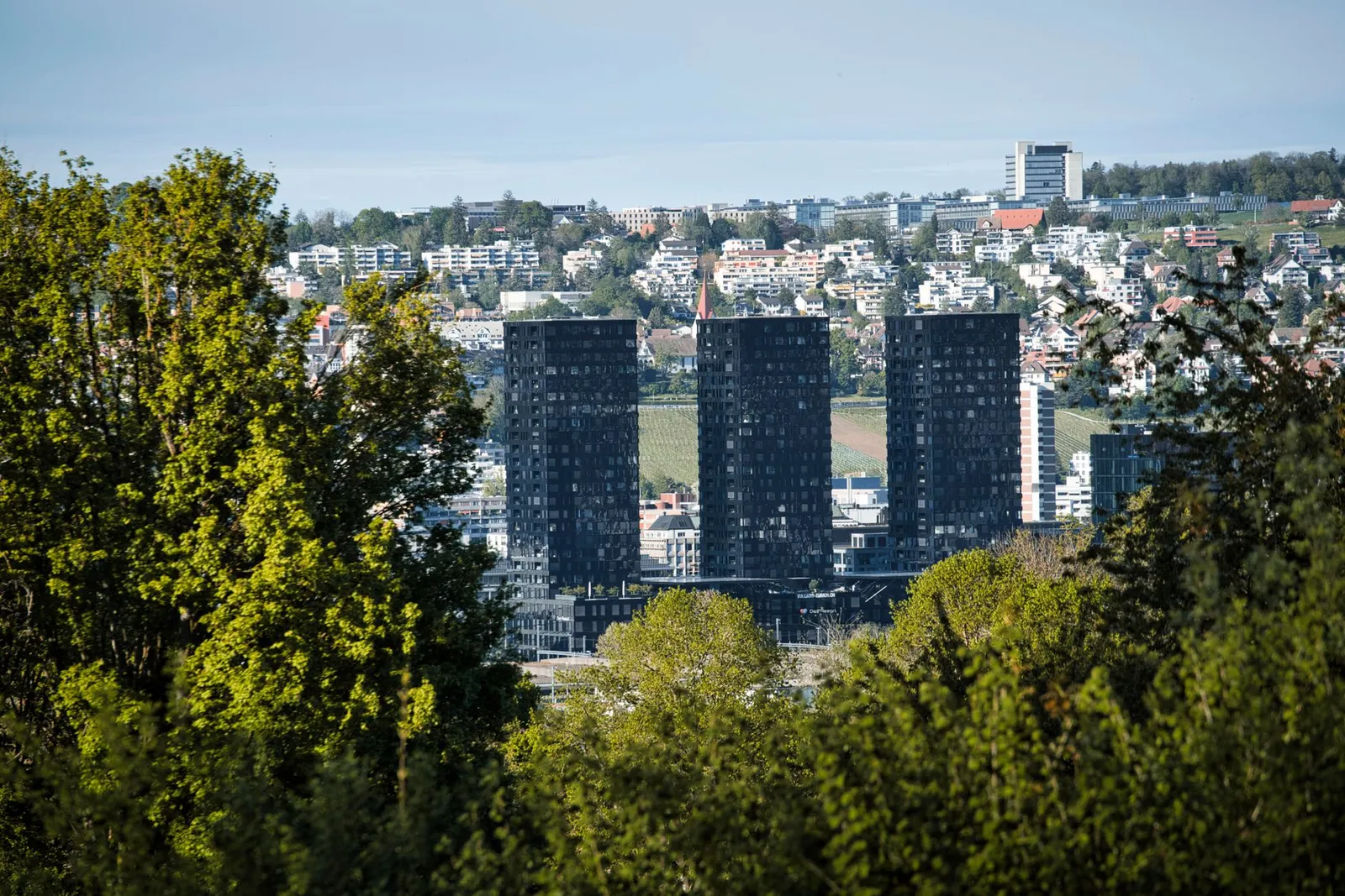 Panoramic view of Stuttgart's architecture, featuring modern skyscrapers among lush greenery.
