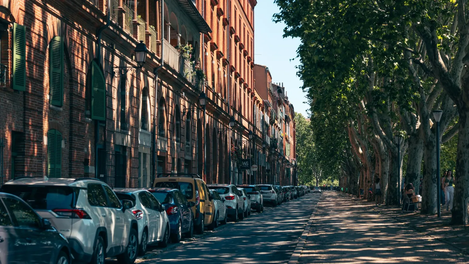 Scenic view of a tree-lined street with cars and historical buildings in Toulouse, France.